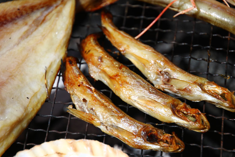 本ししゃも尾 オス 函館朝市 函館カネニ 活き活き便