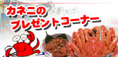 �J�l�j�̃v���[���g�R�[�i�[