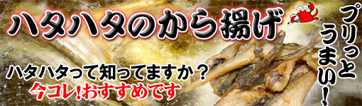 �v���b�Ƃ��܂��n�^�n�^�̂���g��